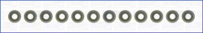WILMINK GROUP wg1170042 -